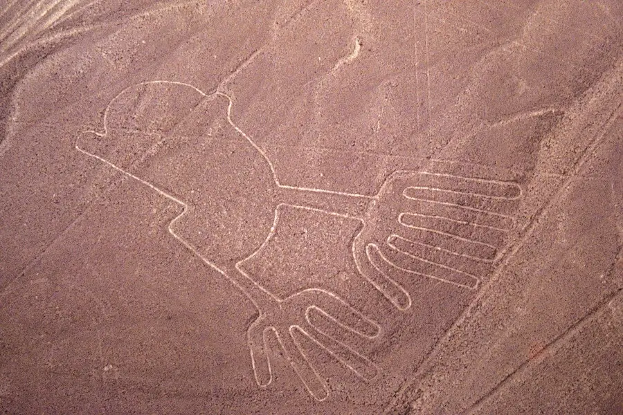 Nazca Lines Overflight (Half Day)