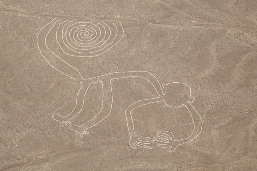 Nazca Lines Overflight (Half Day)