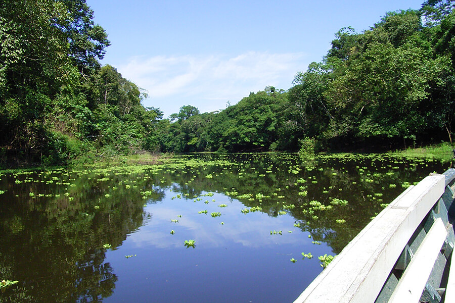 Tambopata National Reserve Eco Tour (4 Days)