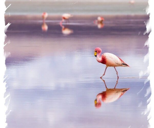 Uyuni Salt Flat Express Tour (Full Day)