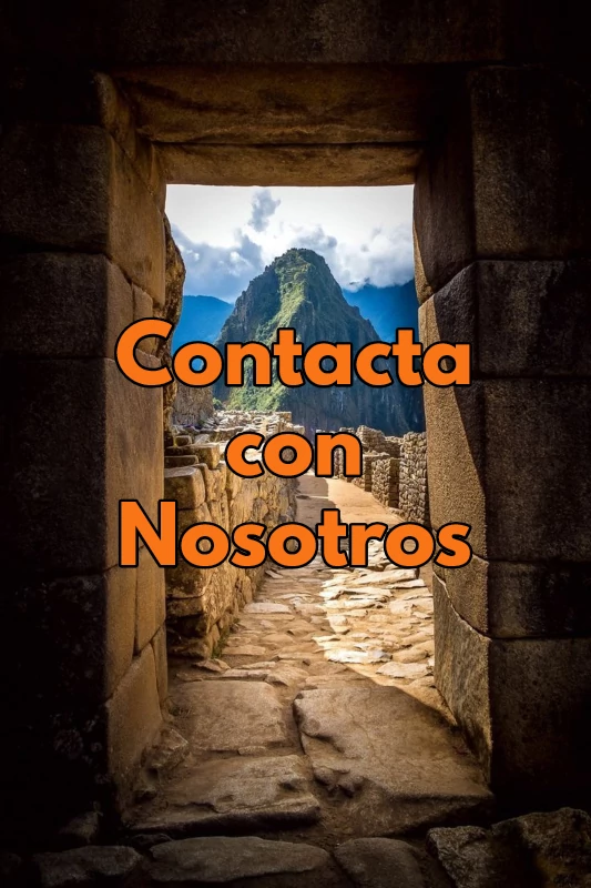 Contacta con Nosotros