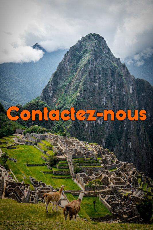 Contact Us - Peru Vive Travel